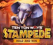 Ten Ton Ways Stampede