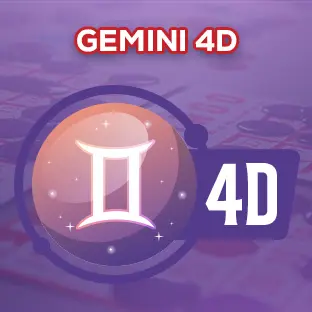 4D Gemini